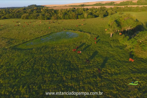 Fazenda Reconquista - Cachoeira do Sul.00_02_37_13.Quadro028_71f24b3b1f3cb982c1409b0f2853c0cb8b0f6c61.png